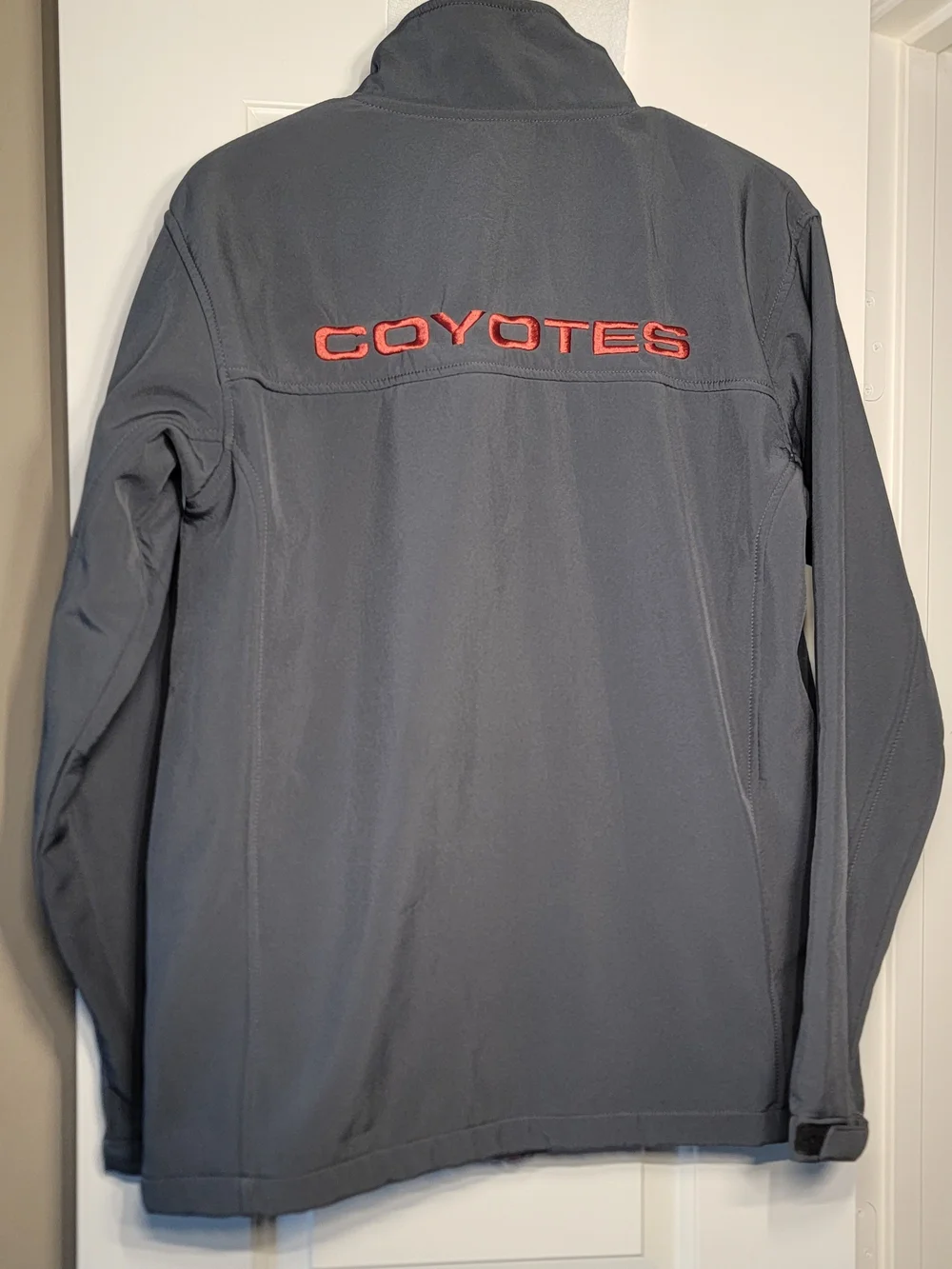 NHL phoenix coyotes
